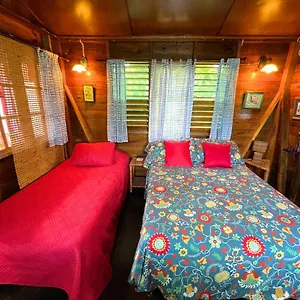  Hostel Judy House And Jamaica