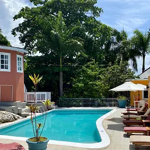  Bed & Breakfast The Blue Orchid Jamaica